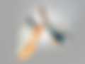 Close-up of a pair of classic white tennis shoes